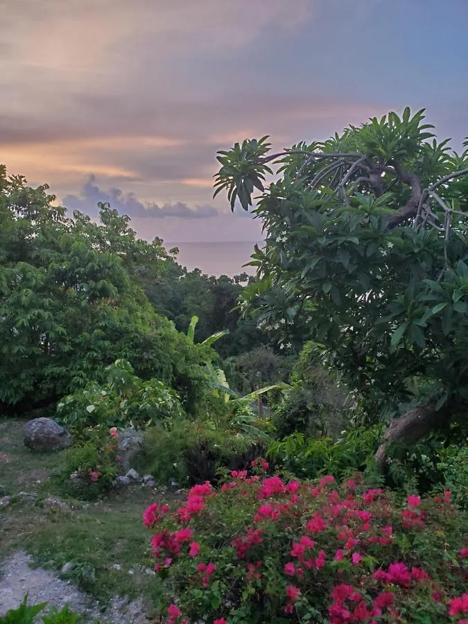 Emerald Garden Ocho Rios 0*,